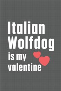 Italian Wolfdog is my valentine