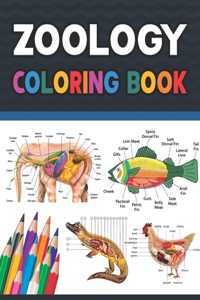 Zoology Coloring Book