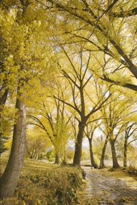 Overcoming Pornography, Pedophilia, or Anything Else