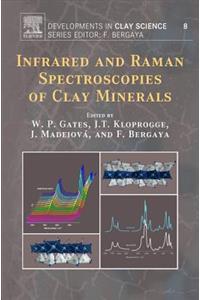 Infrared and Raman Spectroscopies of Clay Minerals