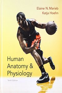 Human Anatomy & Physiology; Modified Masteringa&p with Pearson Etext -- Valuepack Access Card; Get Ready for A&p; Brief Atlas of the Human Body