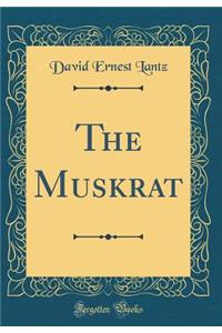 The Muskrat (Classic Reprint)