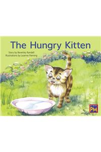 Hungry Kitten