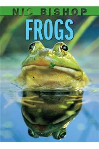 Nic Bishop: Frogs