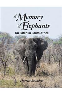 A Memory of Elephants