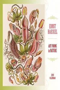 Ernst Haeckel Art Forms in Nature 2019 Wall Calendar