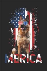 Merica