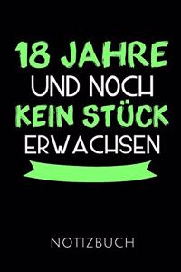 18 Jahre Notizbuch