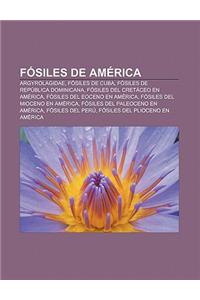 Fosiles de America