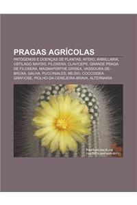 Pragas Agricolas