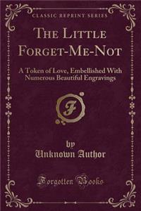 The Little Forget-Me-Not