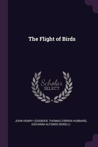 Flight of Birds