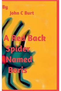 A Red Back Spider Named Boris.