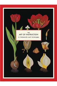 The Art of Instruction Notecard Set
