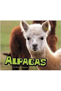 Farm Animals Pack B of 4