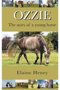 Ozzie - The Story of a Young Horse