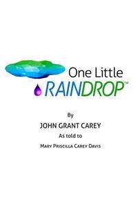 One Little Raindrop