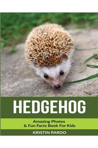 Hedgehog
