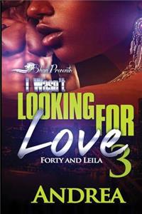 I Wasn't Looking for Love 3