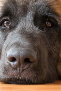 Happy Leonberger Dog Journal