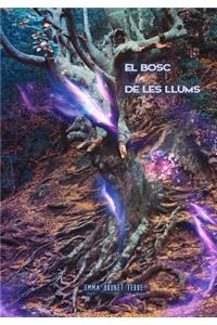 El bosc de les llums