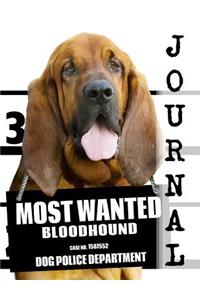 Most Wanted Bloodhound Journal