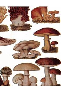 Journaling Notebook (Mushrooms Version 4, 8.5
