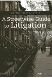 Streetwise Guide to Litigation