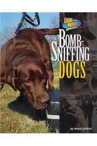 Bomb-Sniffing Dogs