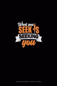 What You Seek Is Seeking You