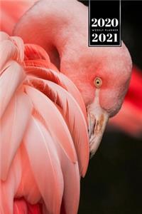 Flamingo Bird Watching Week Planner Weekly Organizer Calendar 2020 / 2021 - Feathery