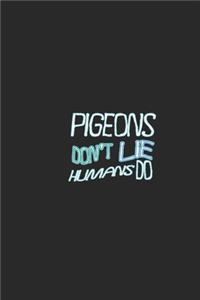 Pigeons don't lie humans do