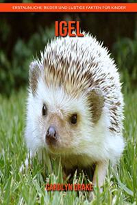 Igel