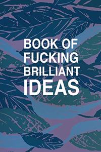 Book Of Fucking Brilliant Ideas College Ruled Notebook Journal