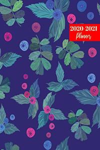 2020-2021 Planner