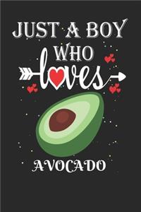 Just a Boy Who Loves Avocado
