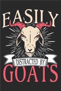 Easily Distracted by Goats