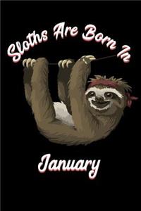 Sloths Are Born in January
