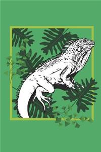 I Love Iguanas