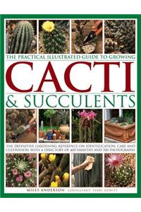 Practical Illustrated Guide to Growing Cacti & Succulents