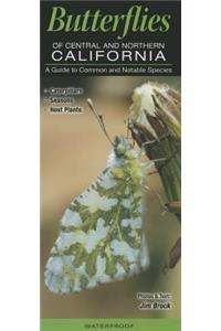 Butterflies of Central & Northern California