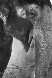 Smiling Elephant - Lined Notebook with Margins