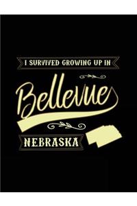 I Survived Growing Up In Bellevue Nebraska