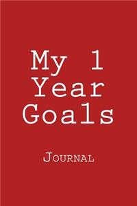 My 1 Year Goals