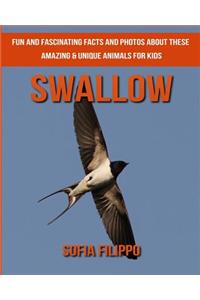 Swallow