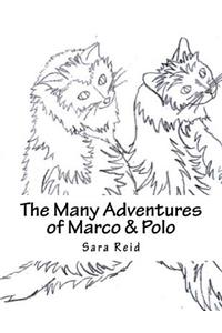 The Many Adventures of Marco & Polo