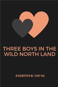 Three Boys in the Wild North Land