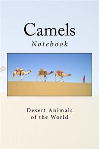 Camels