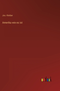 Amerika wie es ist