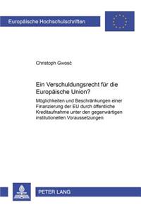 Ein Verschuldungsrecht Fuer Die Europaeische Union?